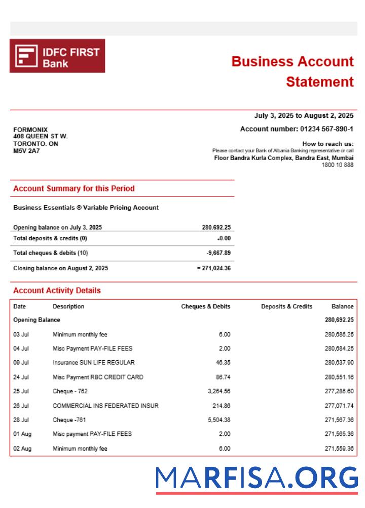 Blank IDFC First company checking account statement Word and PDF template